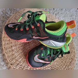 Nike Lebron Earned shoes